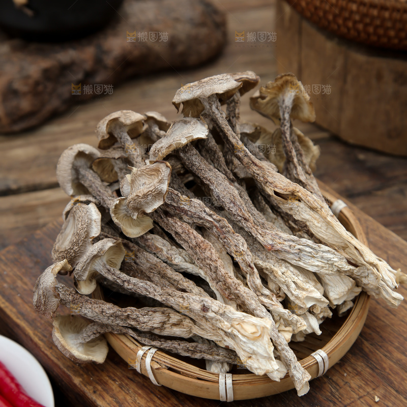 鹿茸菇