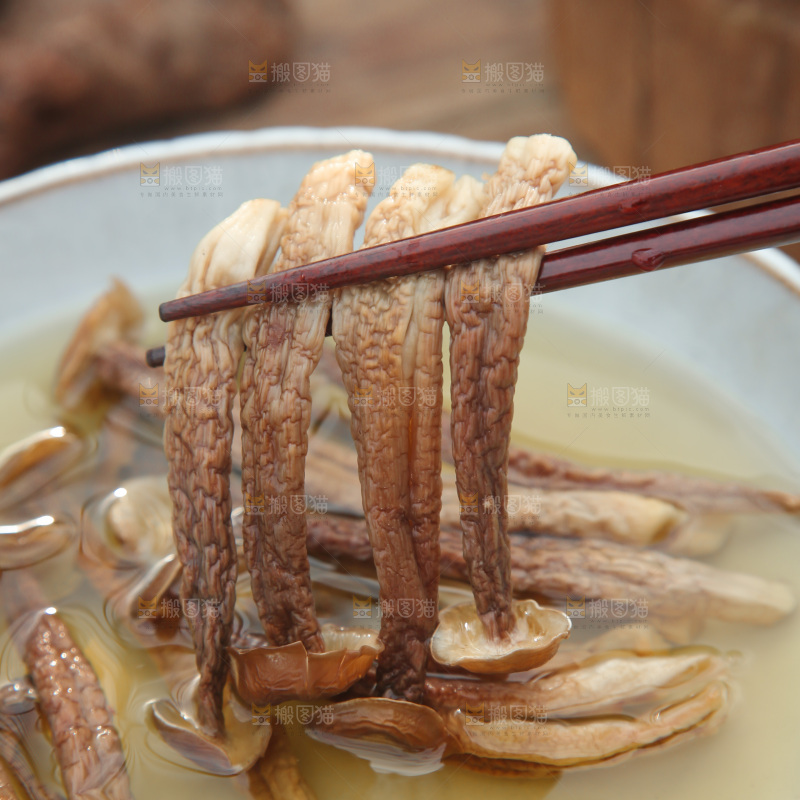 鹿茸菇