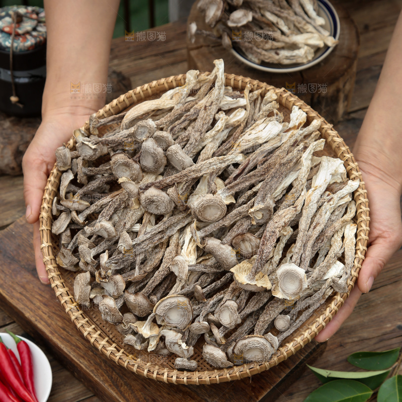 鹿茸菇