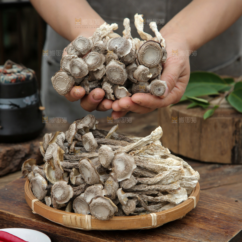 鹿茸菇