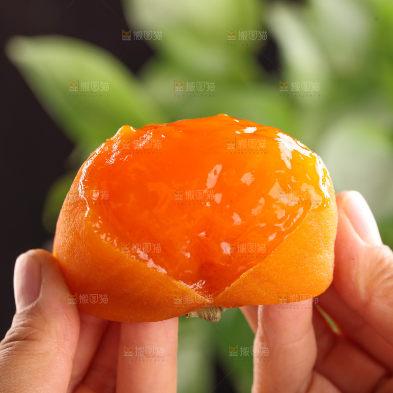 冰柿子