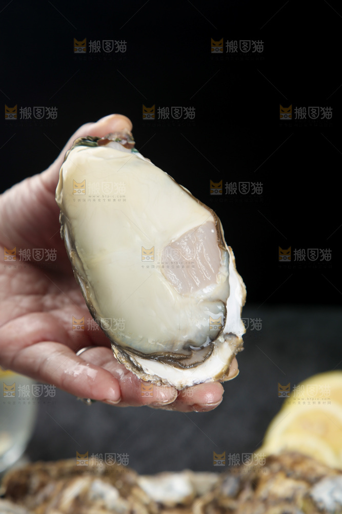生蚝