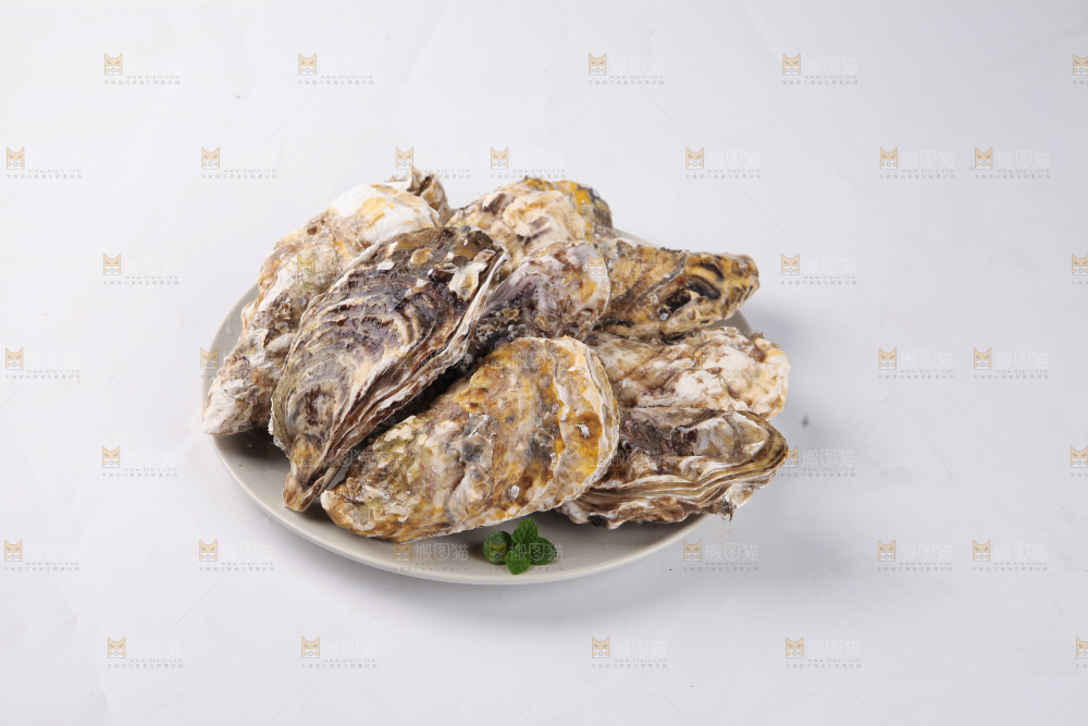 生蚝
