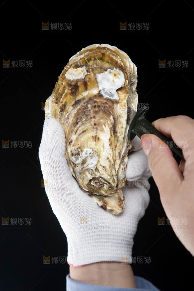 生蚝