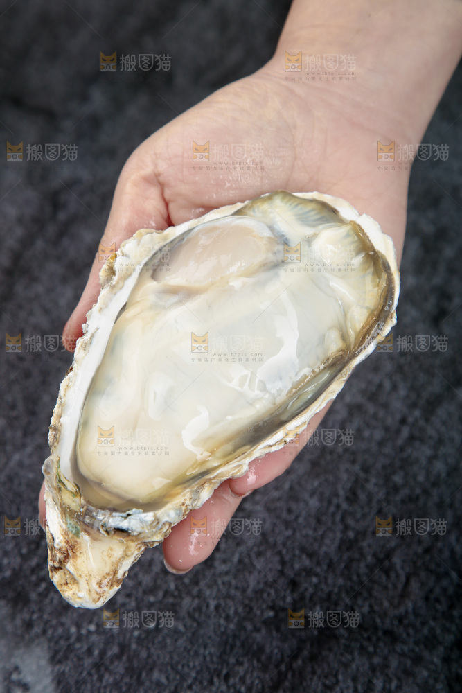 生蚝
