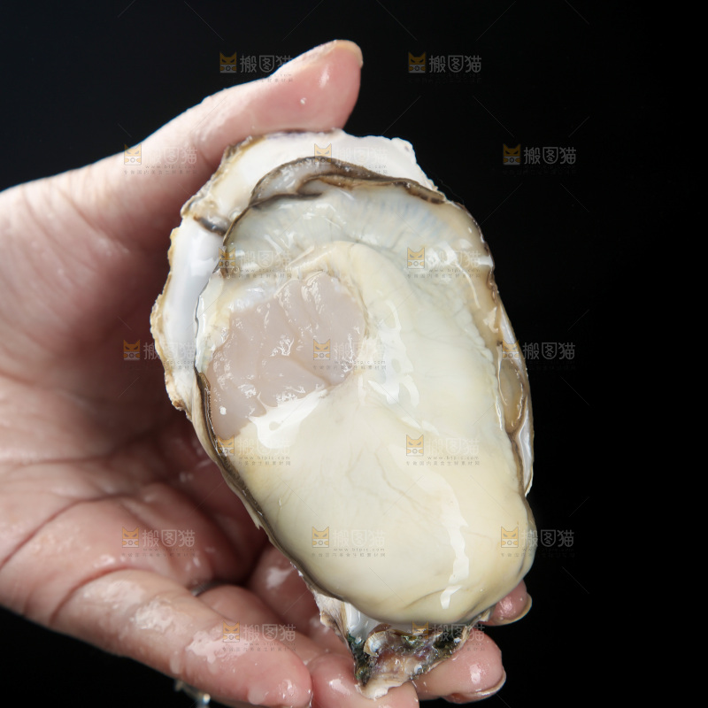 生蚝