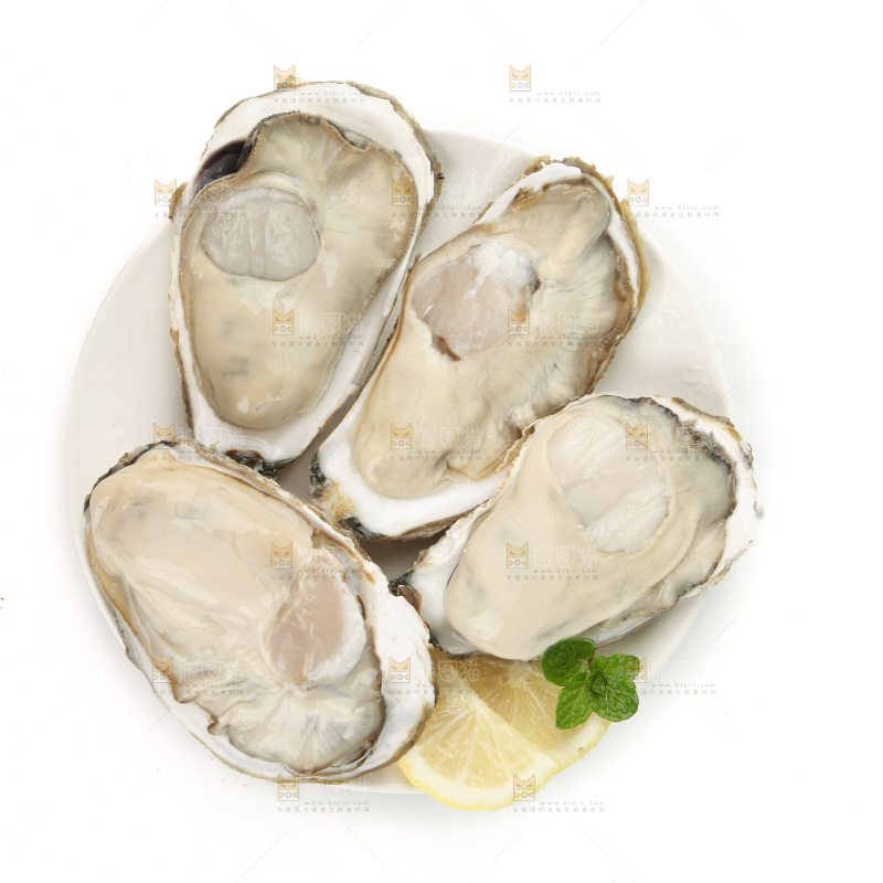 生蚝