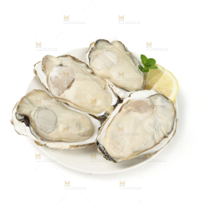 生蚝