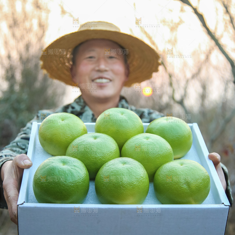 翡翠葡萄柚