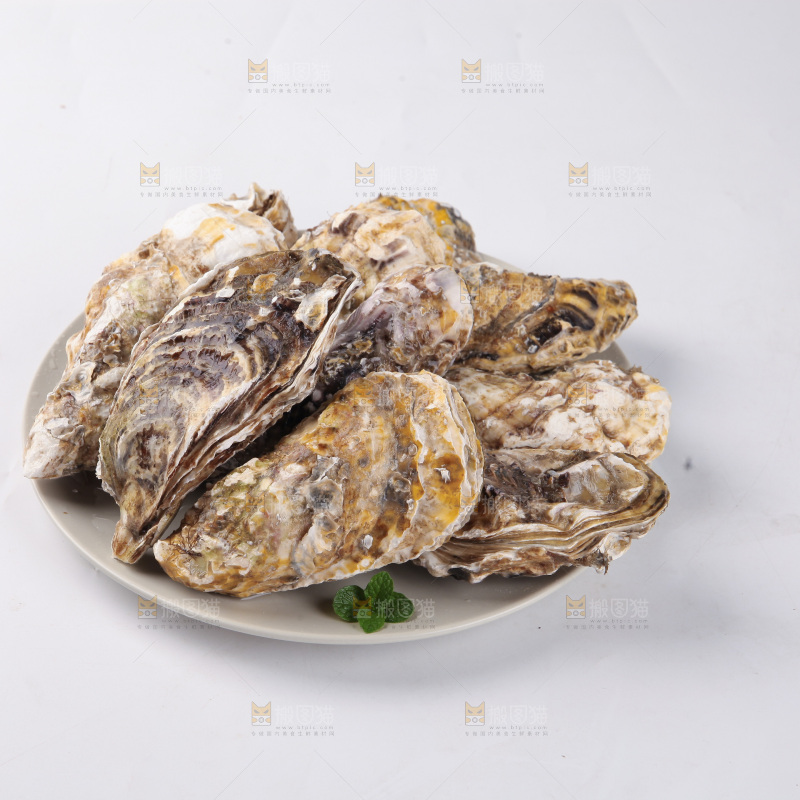 生蚝
