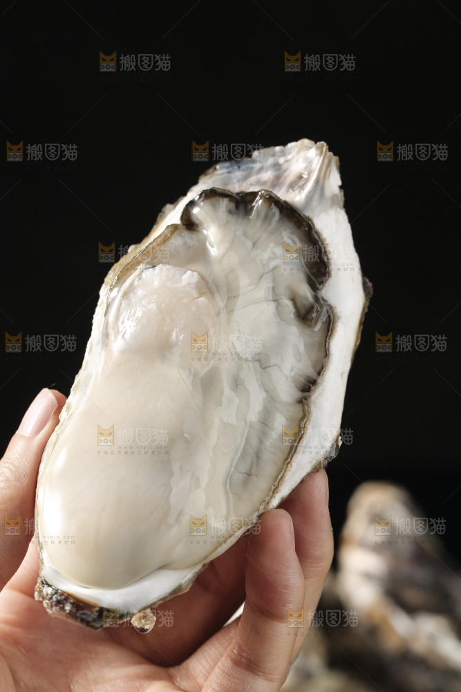生蚝