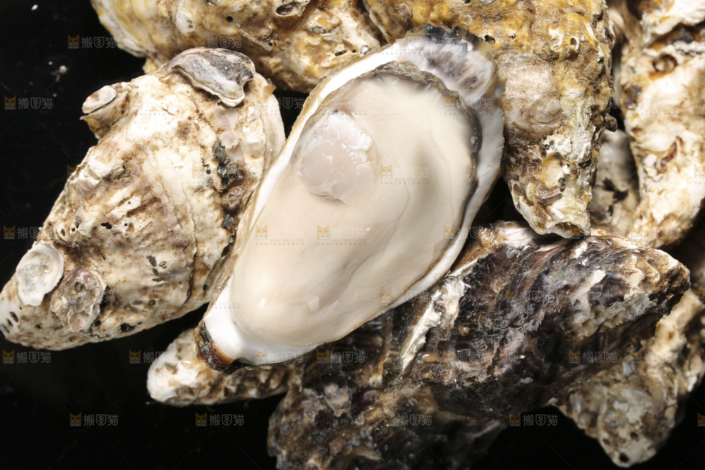 生蚝