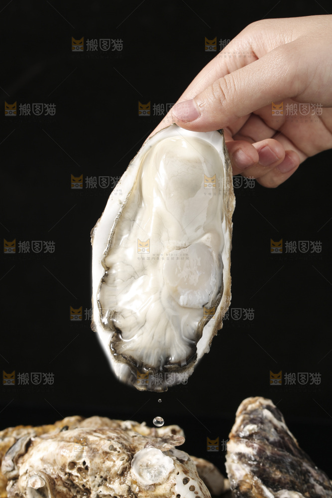 生蚝