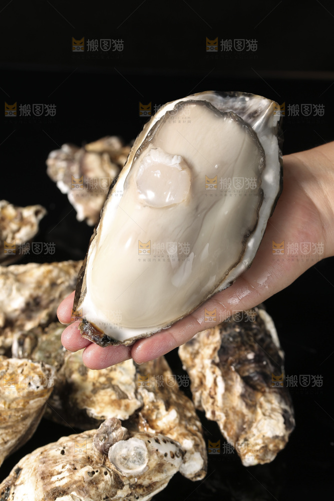 生蚝