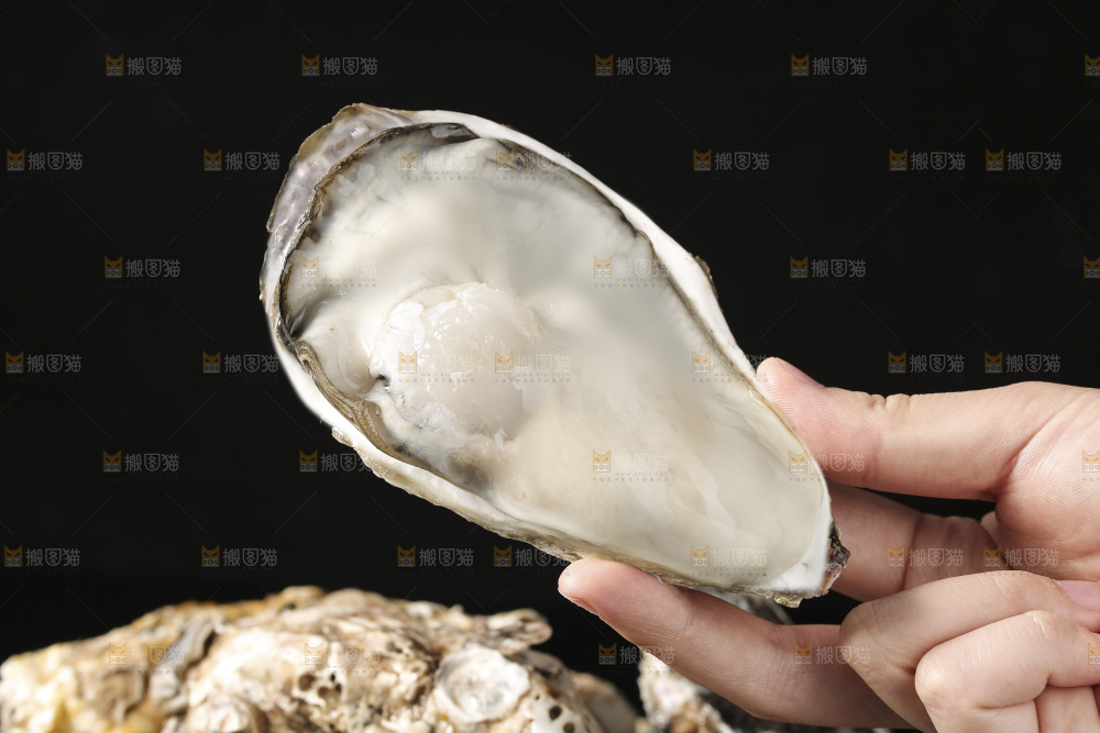 生蚝