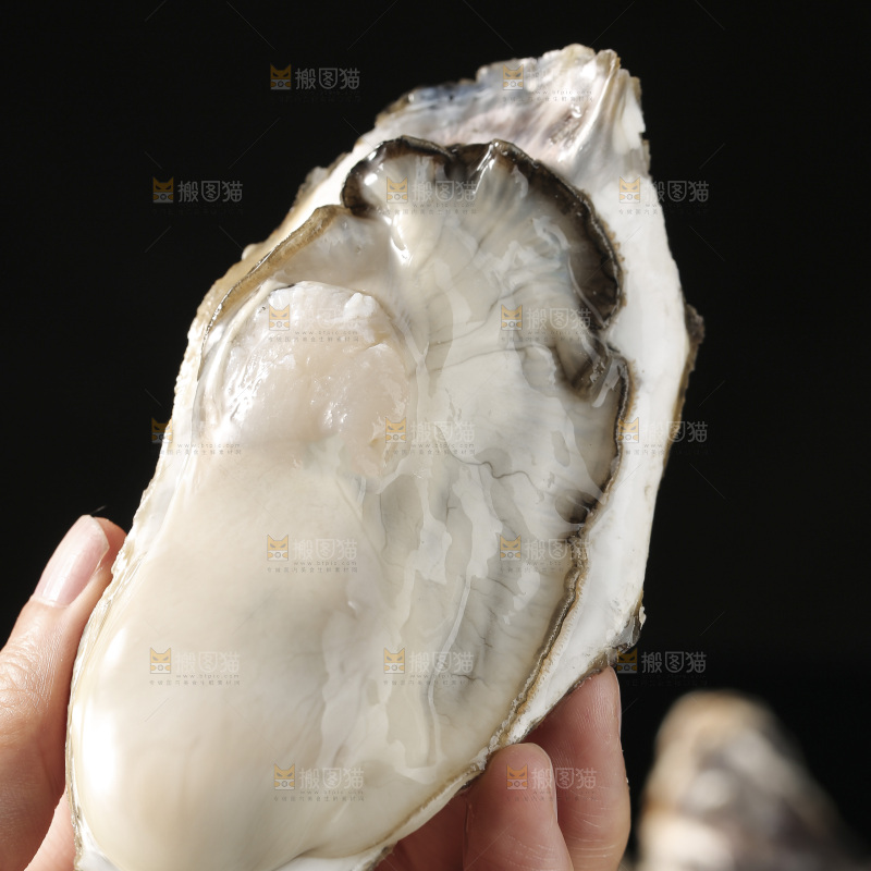 生蚝