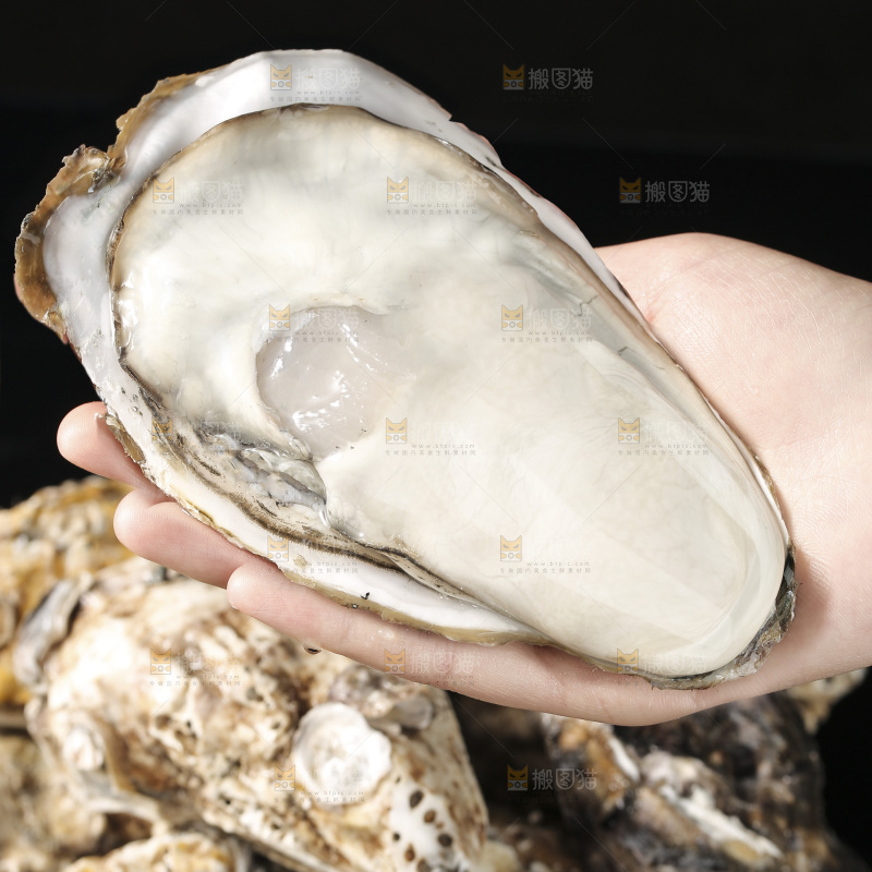 生蚝