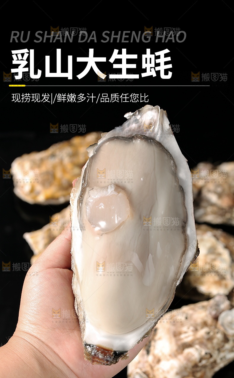 生蚝详情页