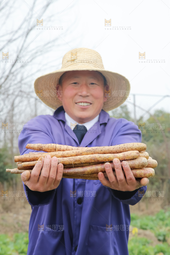 铁棍山药
