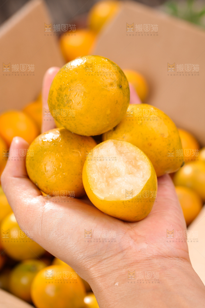 脆蜜金柑