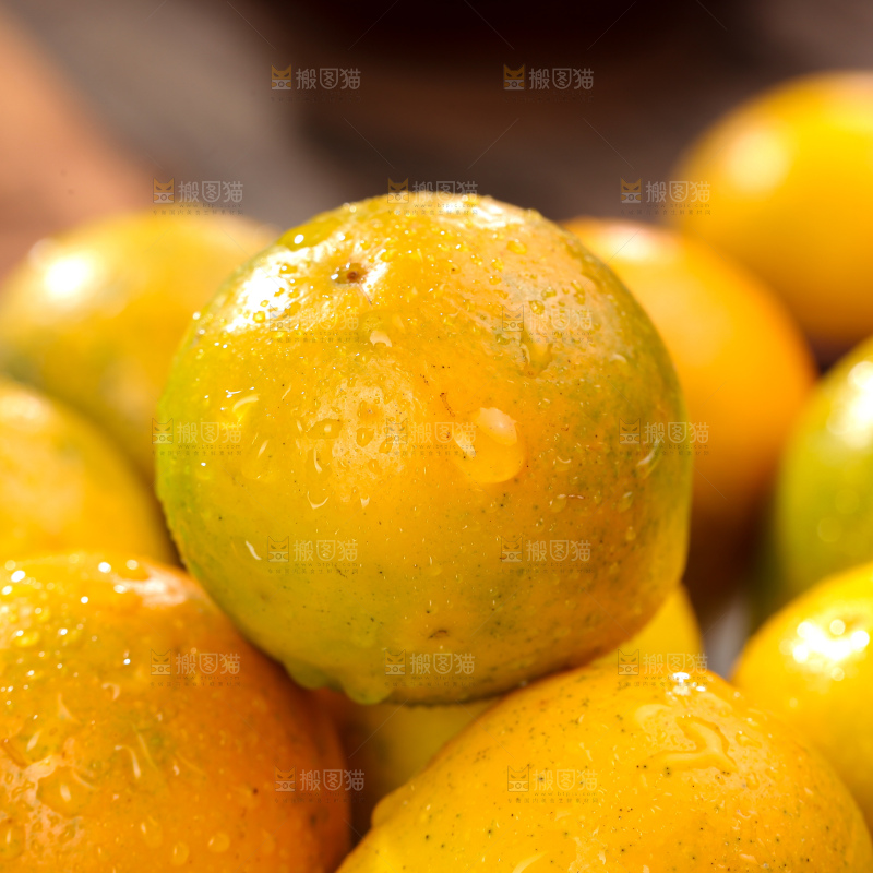 脆蜜金柑