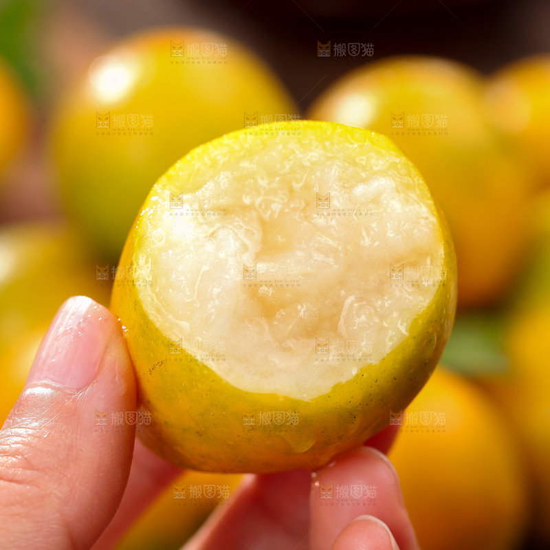 脆蜜金柑