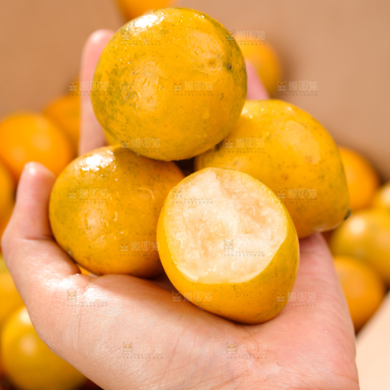 脆蜜金柑