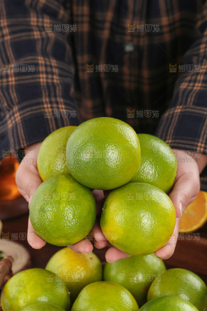 皇帝柑