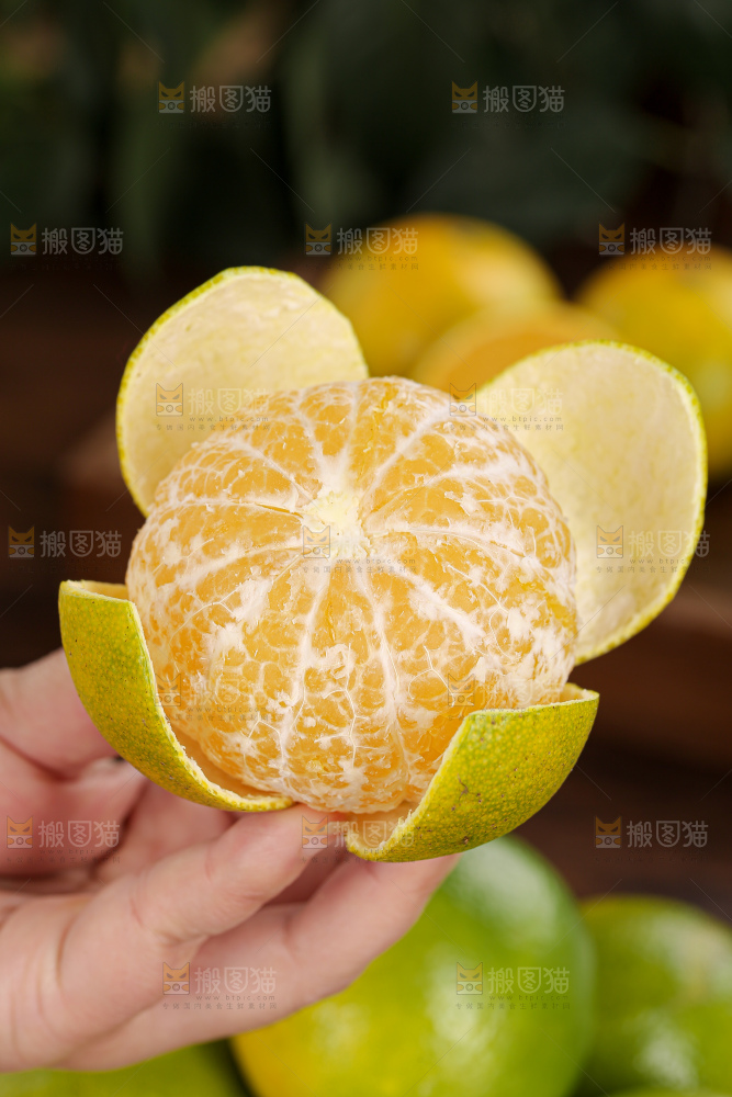 皇帝柑