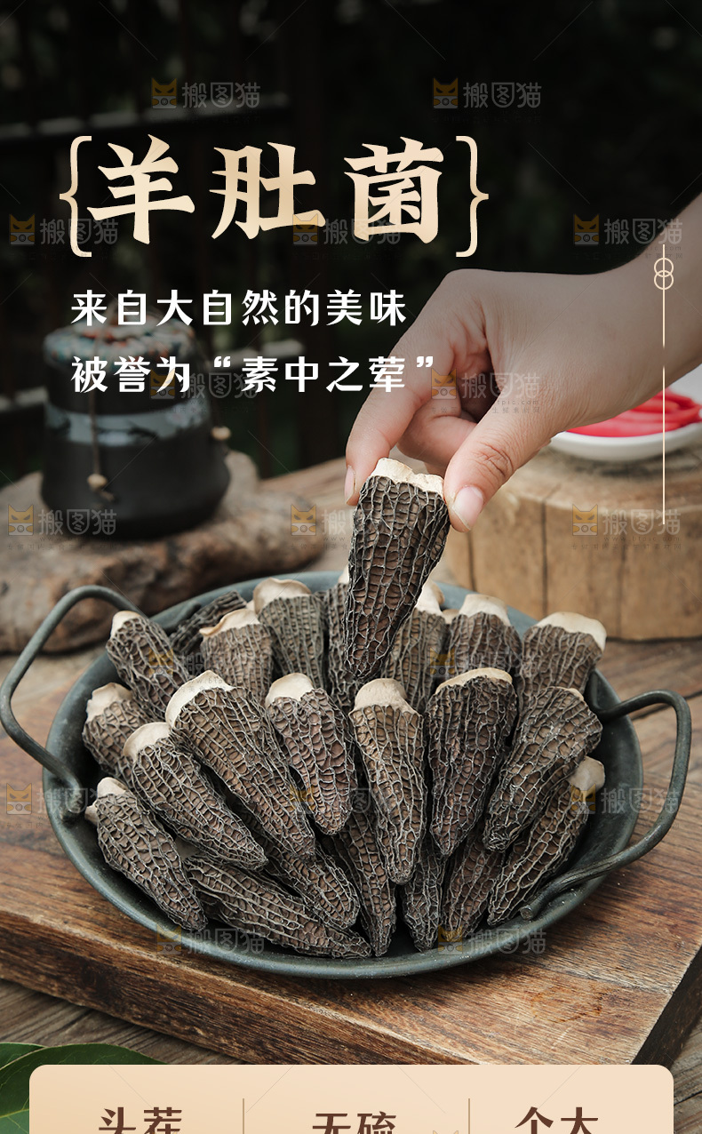 羊肚菌详情页