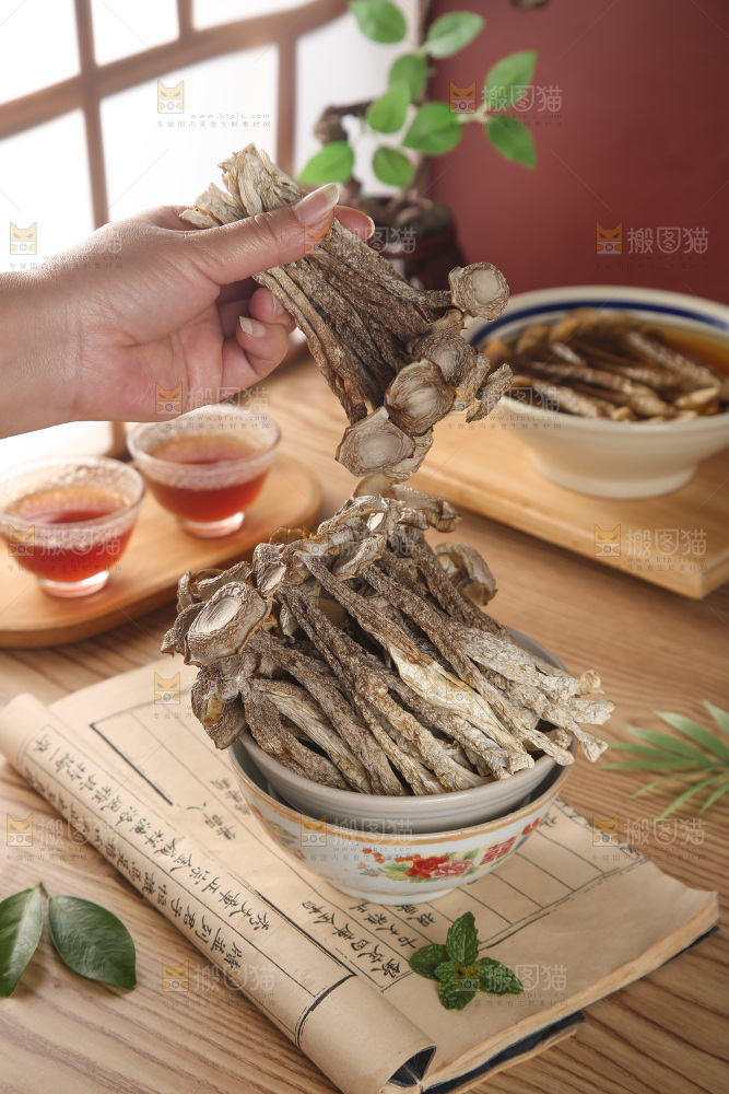鹿茸菇