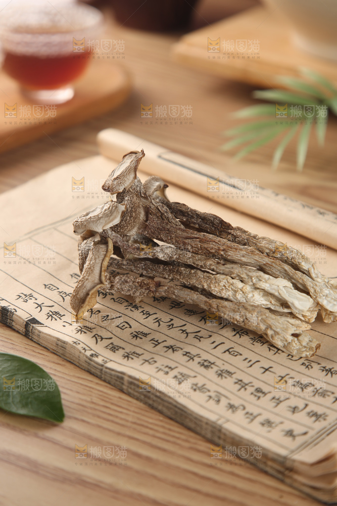鹿茸菇