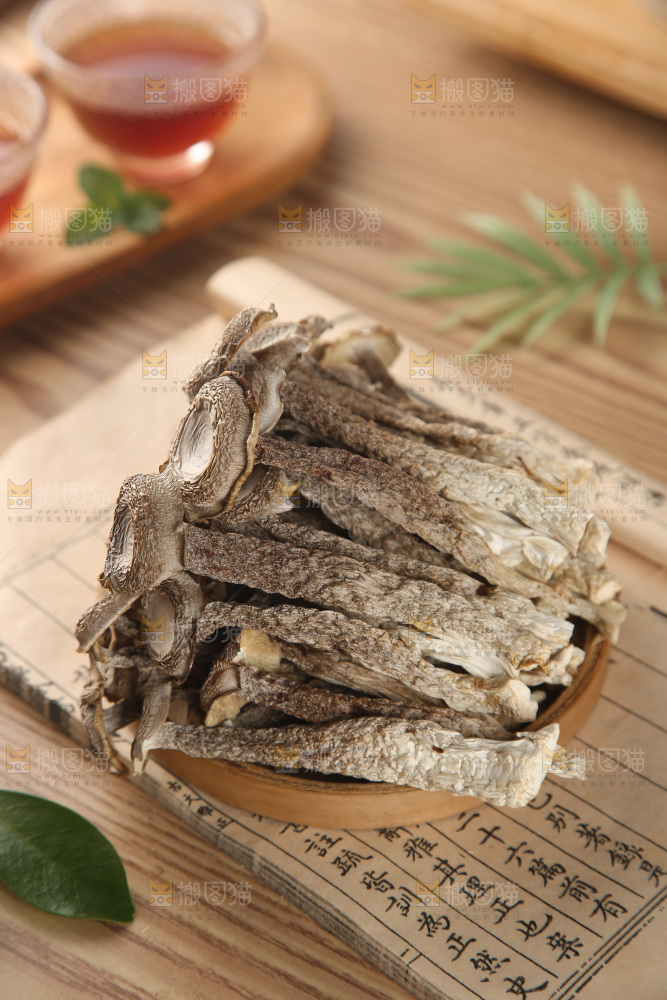 鹿茸菇