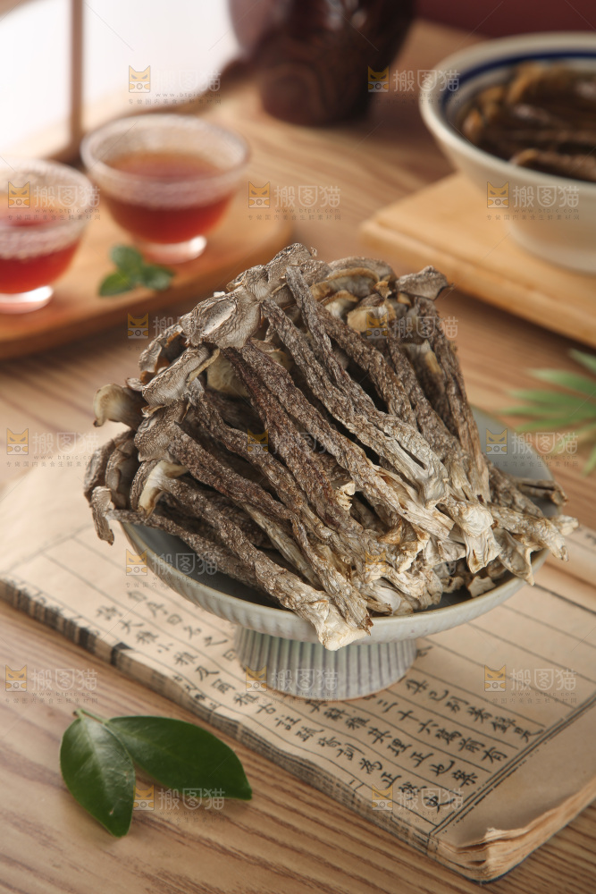 鹿茸菇
