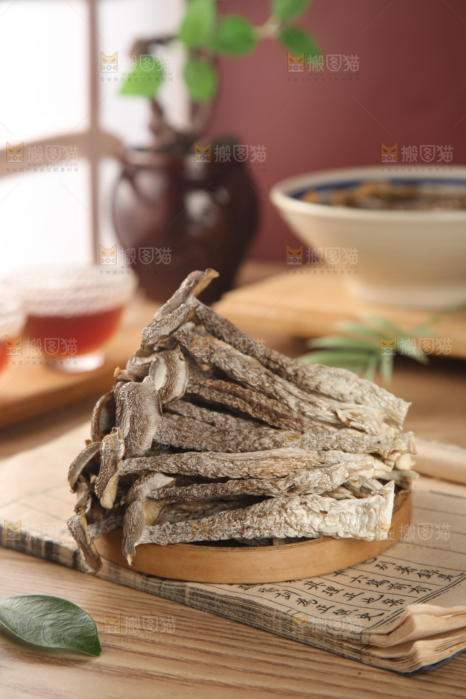 鹿茸菇