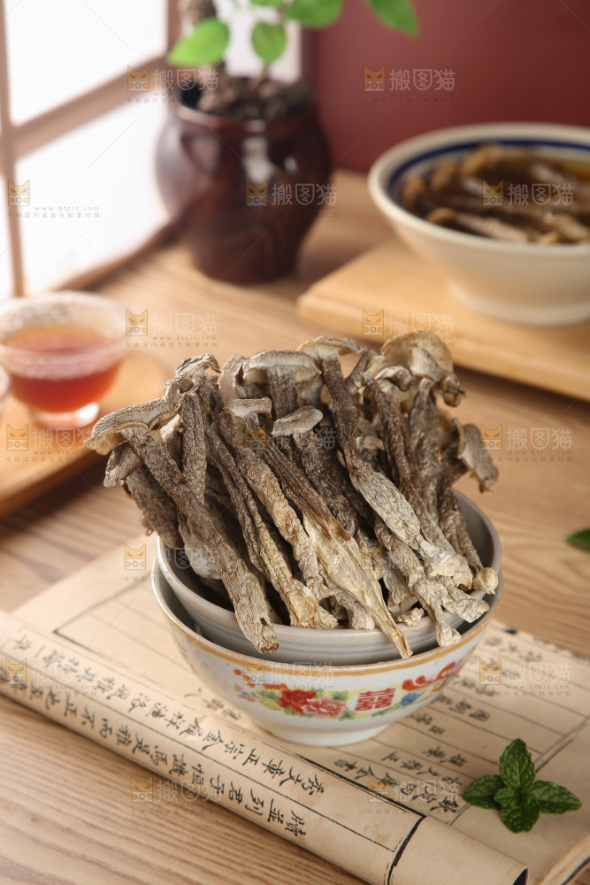 鹿茸菇