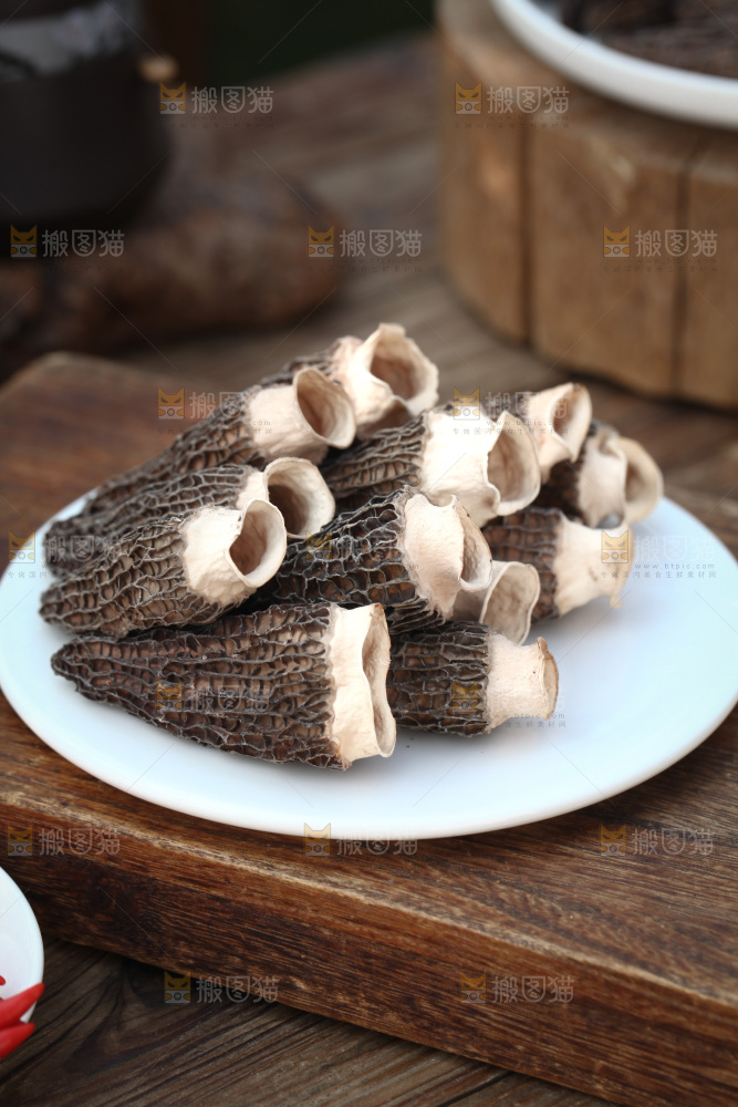 羊肚菌
