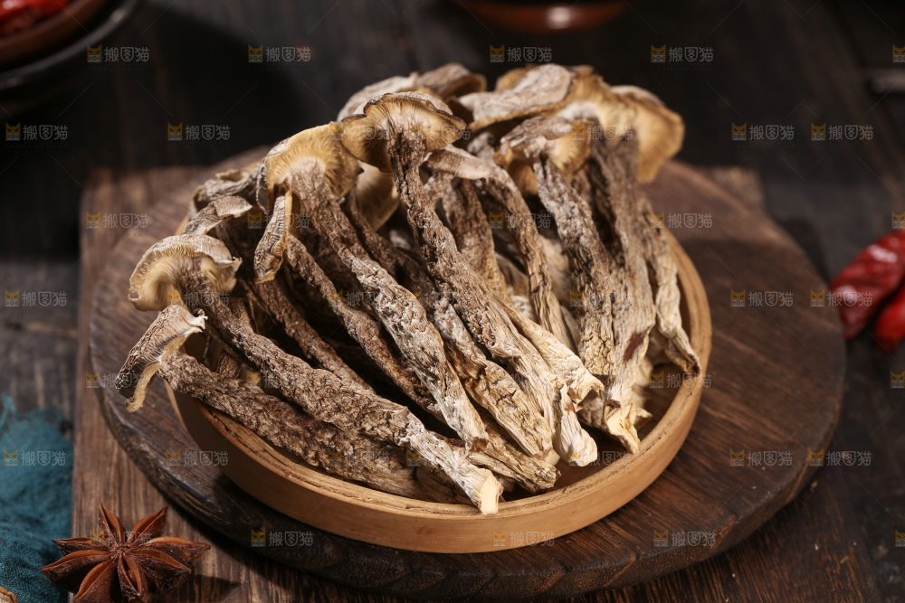 鹿茸菇