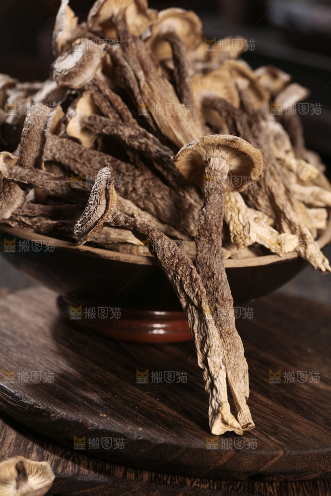 鹿茸菇