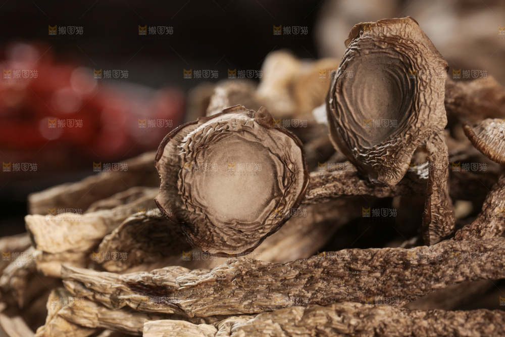 鹿茸菇