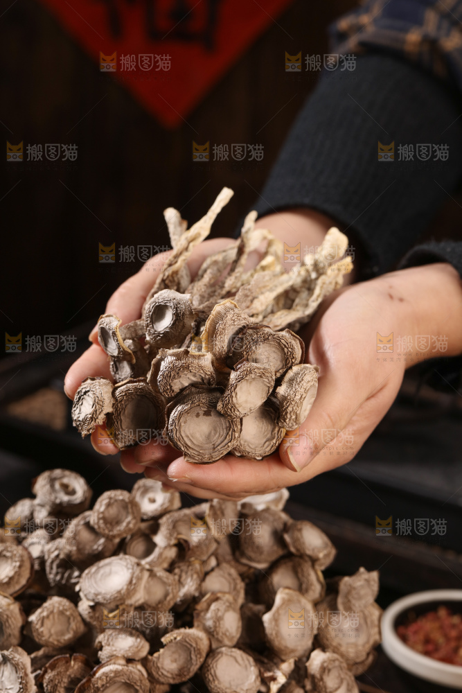 鹿茸菇