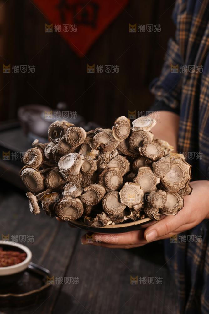 鹿茸菇