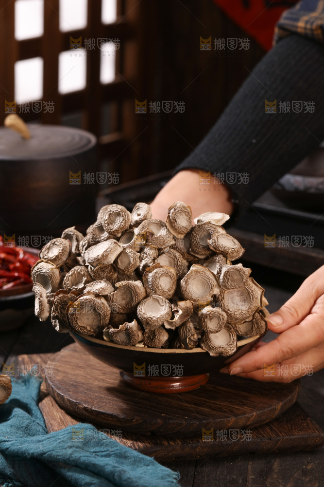鹿茸菇