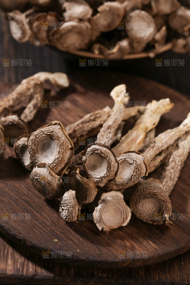 鹿茸菇