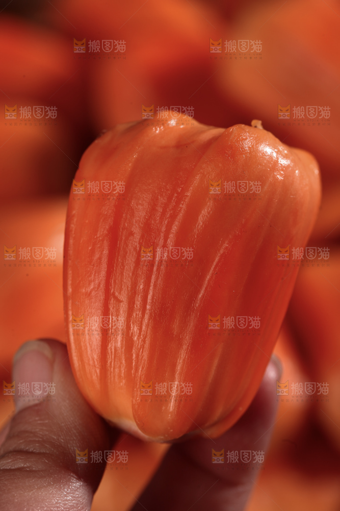 印尼红肉菠萝蜜