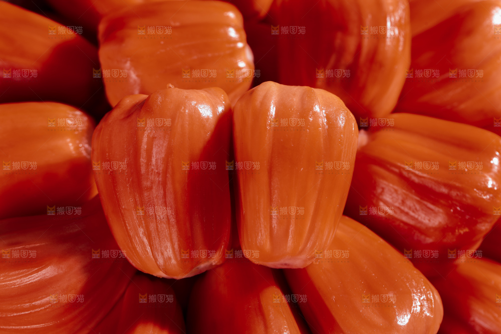 印尼红肉菠萝蜜