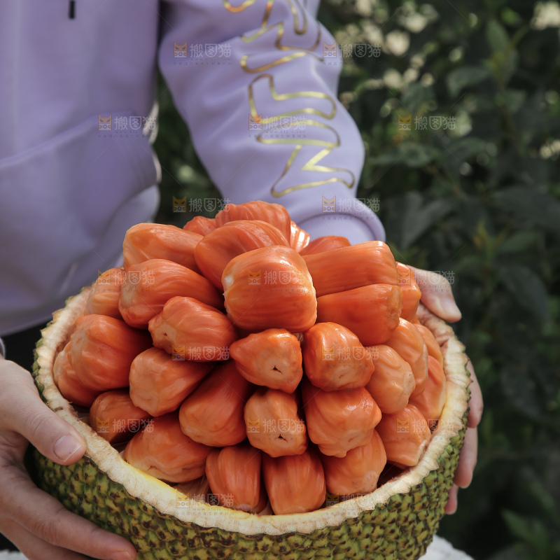 印尼红肉菠萝蜜
