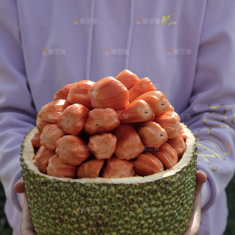 印尼红肉菠萝蜜