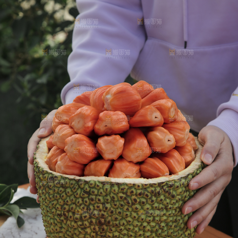 印尼红肉菠萝蜜