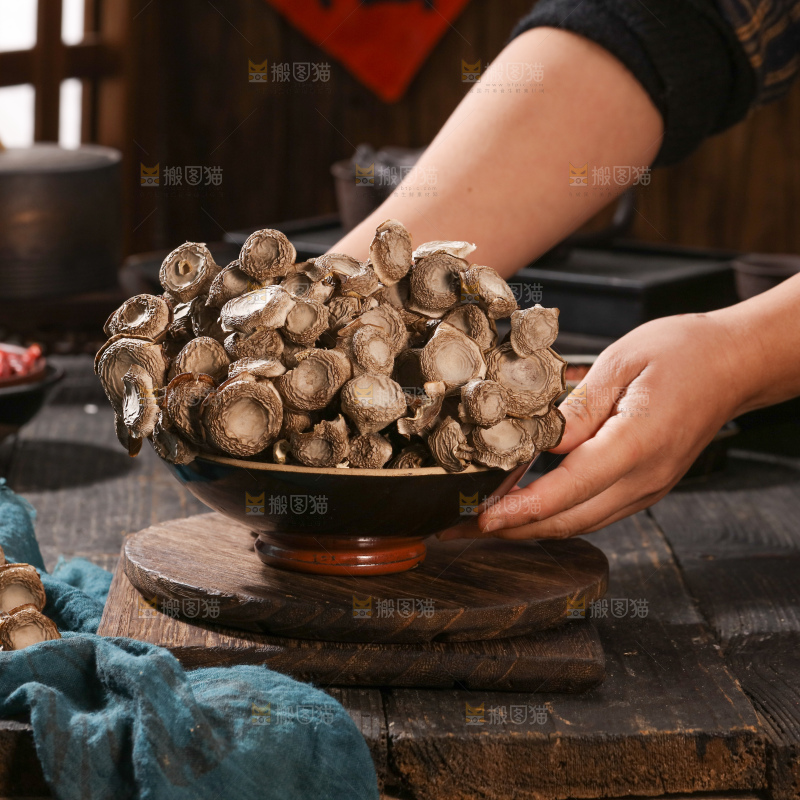 鹿茸菇